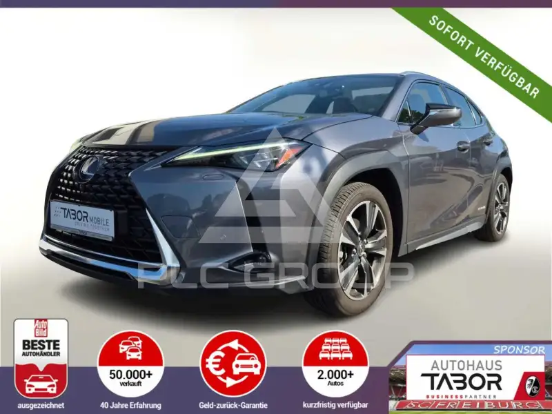 2019 Lexus UX