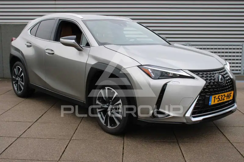 2019 Lexus UX