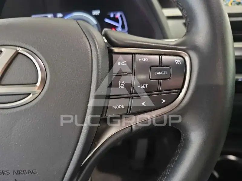 2019 Lexus UX