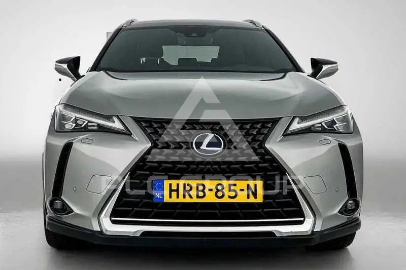 2019 Lexus UX
