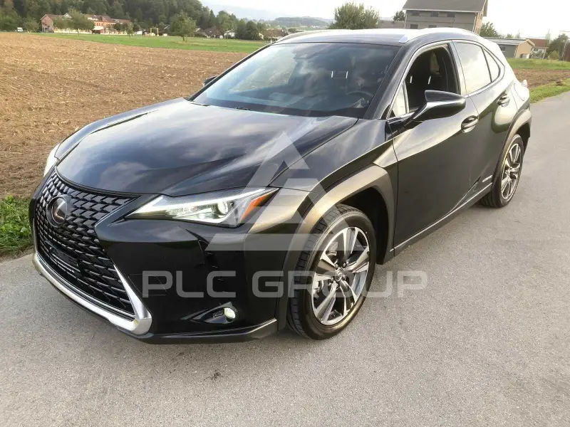 2019 Lexus UX