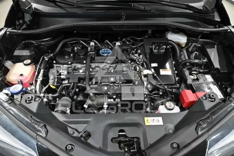 2019 Toyota C-HR