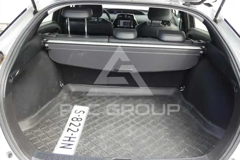2019 Toyota PRIUS