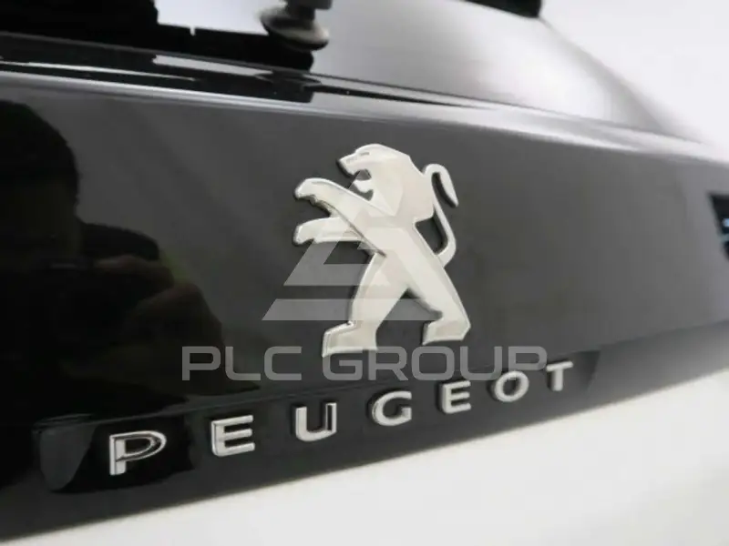 2019 Peugeot 3008