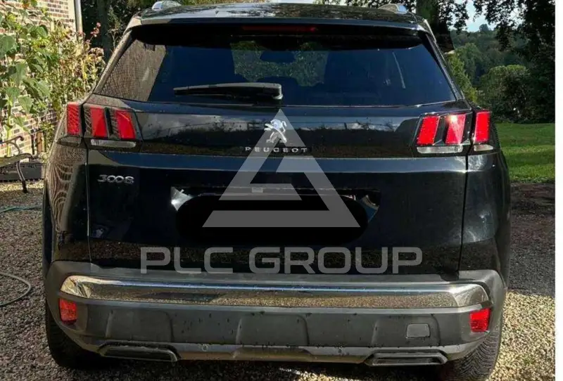 2019 Peugeot 3008