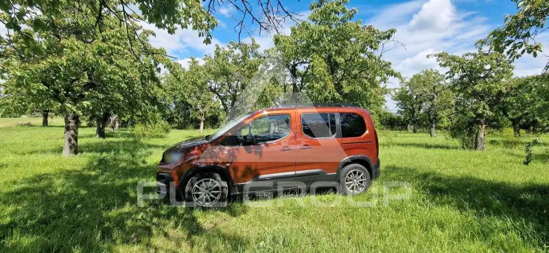 2019 Peugeot Rifter