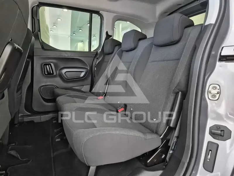 2019 Peugeot Rifter