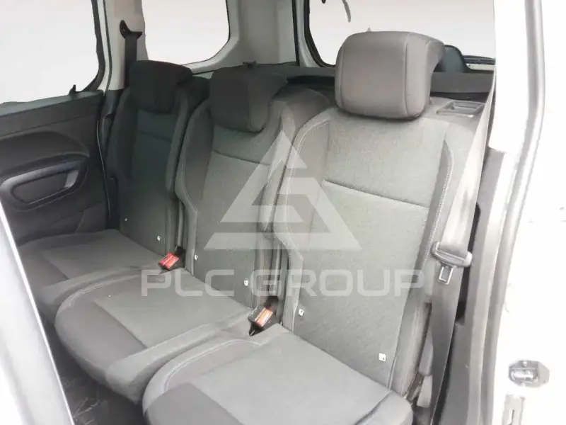 2019 Peugeot Rifter