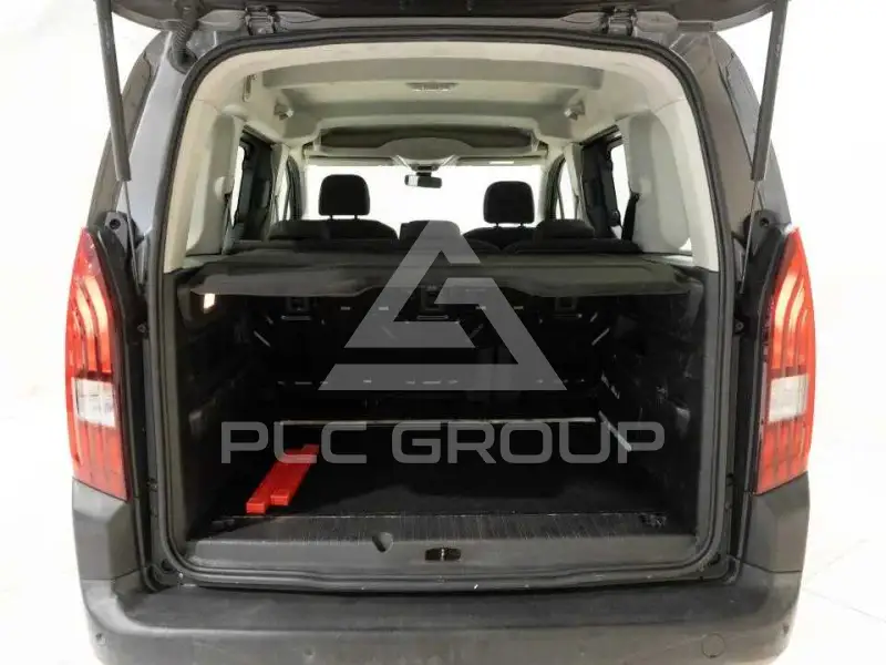 2019 Peugeot Rifter