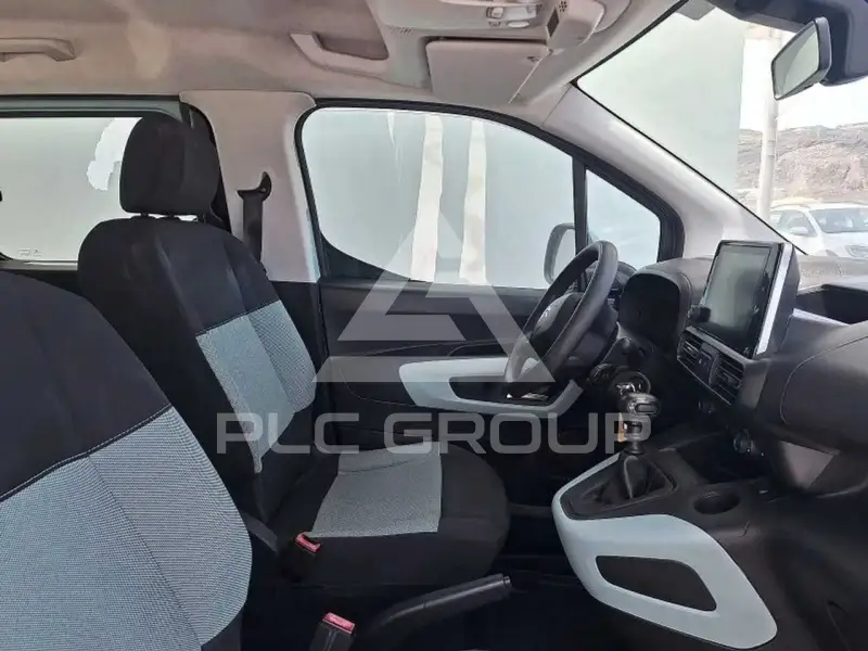 2019 Citroen Berlingo