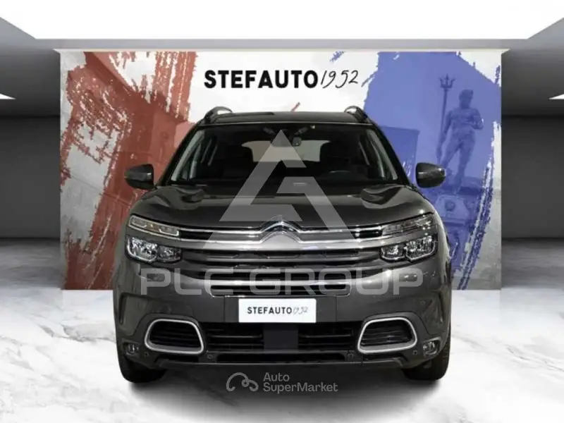 2019 Citroen C5