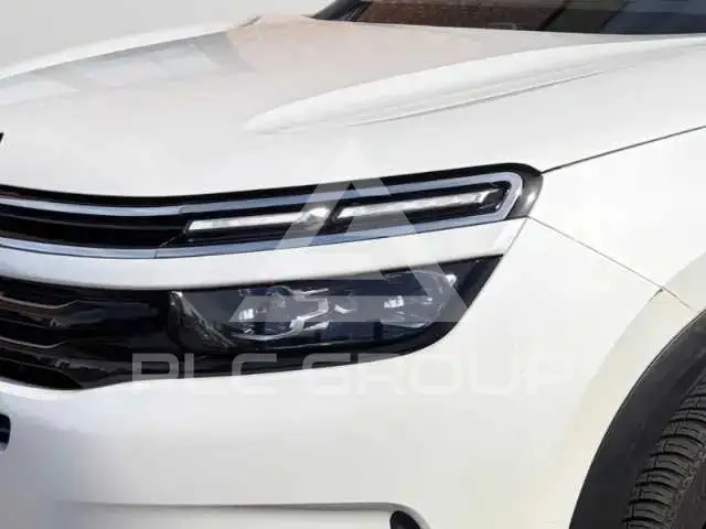 2019 Citroen C5