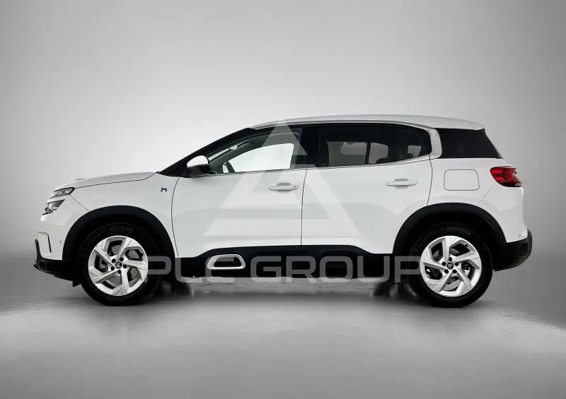 2019 Citroen C5