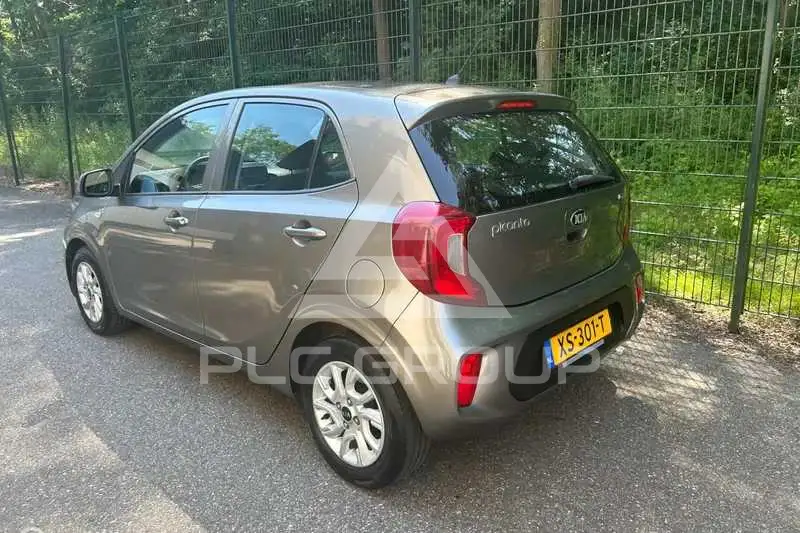2019 KIA Picanto