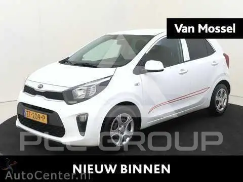 2019 KIA Picanto