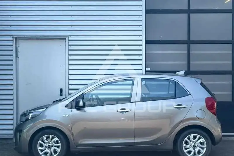 2019 KIA Picanto