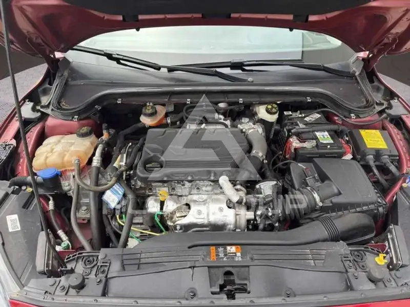2019 Ford FOCUS