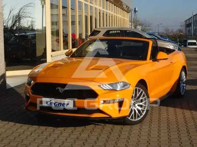 2019 Ford MUSTANG