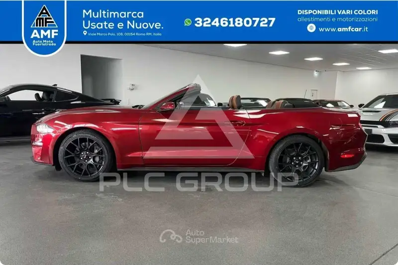 2019 Ford MUSTANG