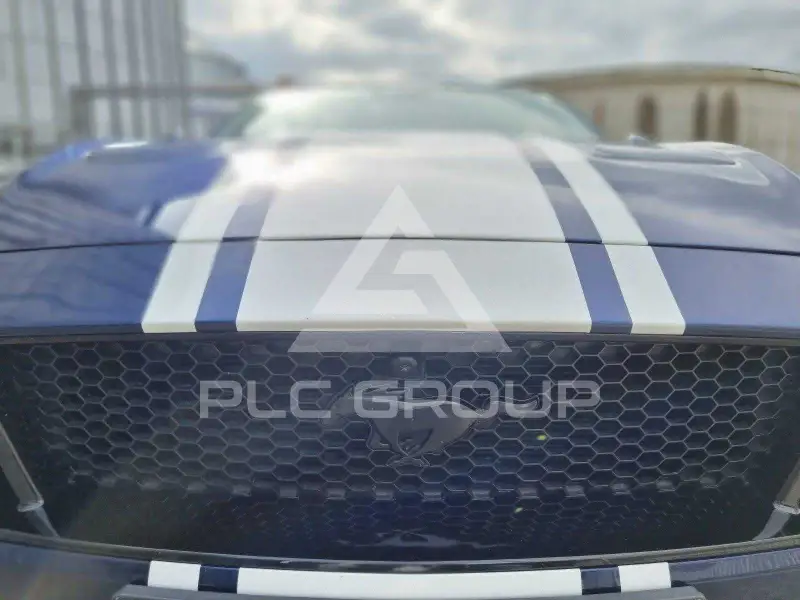 2019 Ford MUSTANG