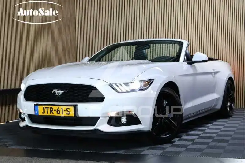 2019 Ford MUSTANG