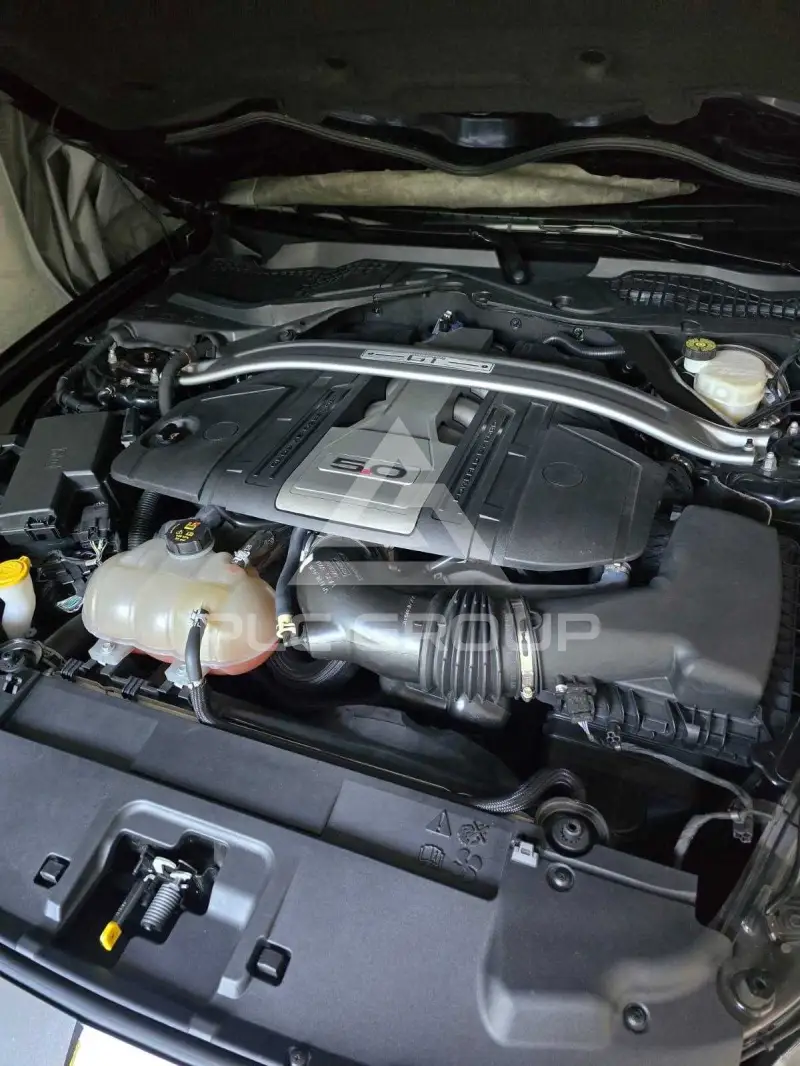 2019 Ford MUSTANG