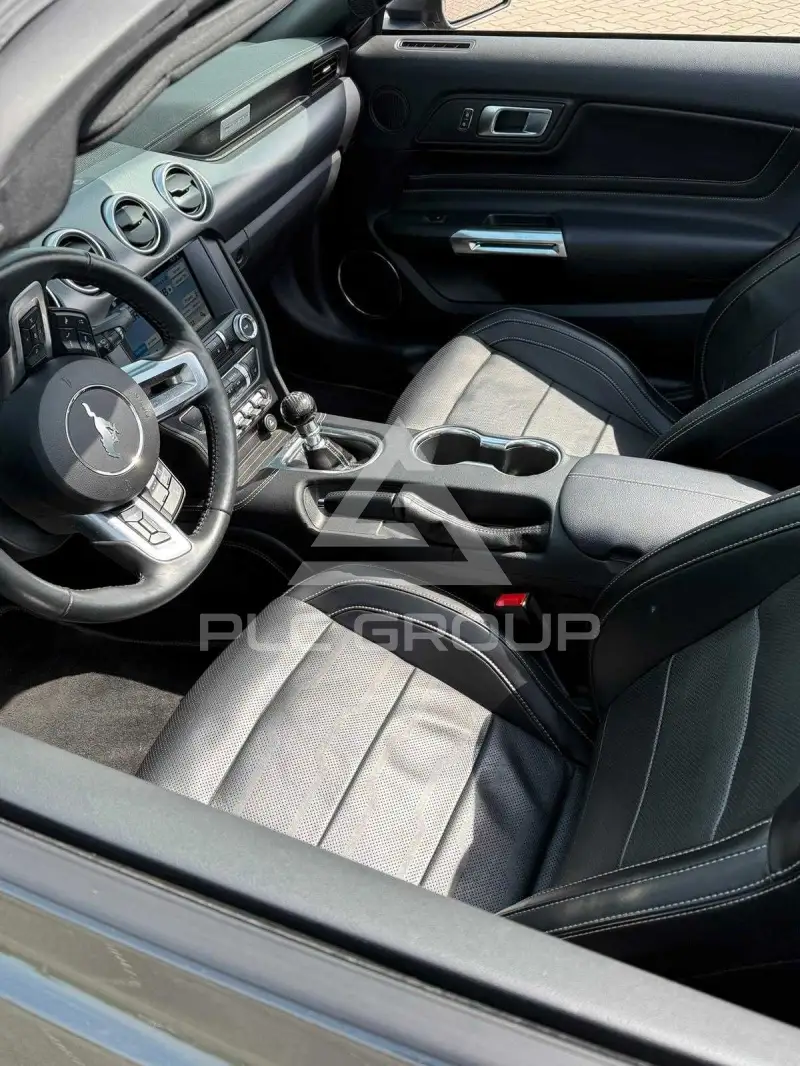 2019 Ford MUSTANG