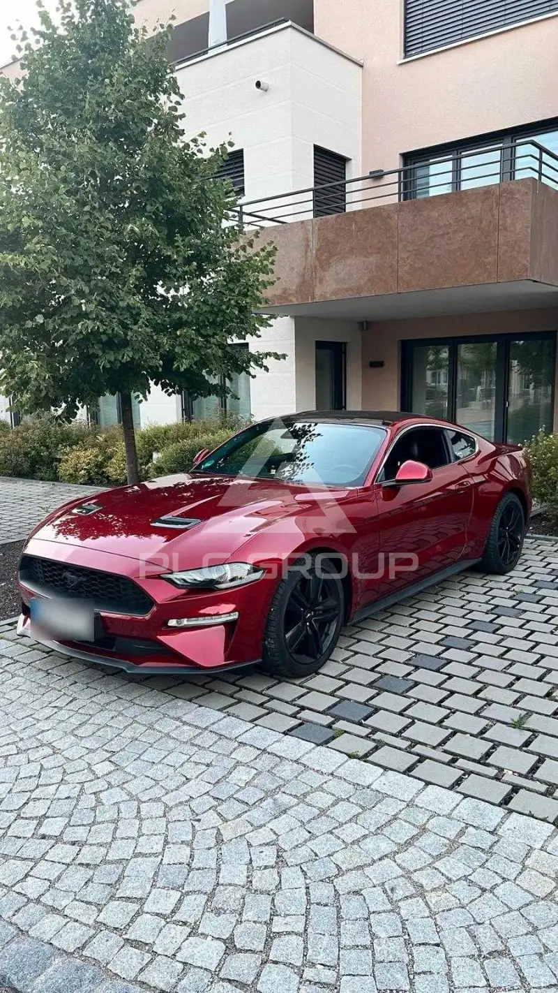 2019 Ford MUSTANG