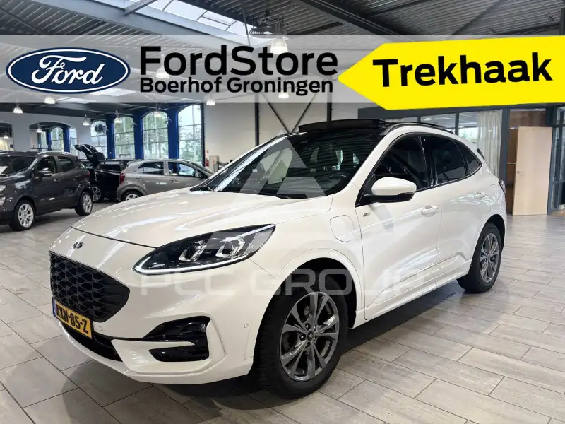 2019 Ford Kuga