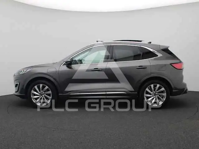 2019 Ford Kuga