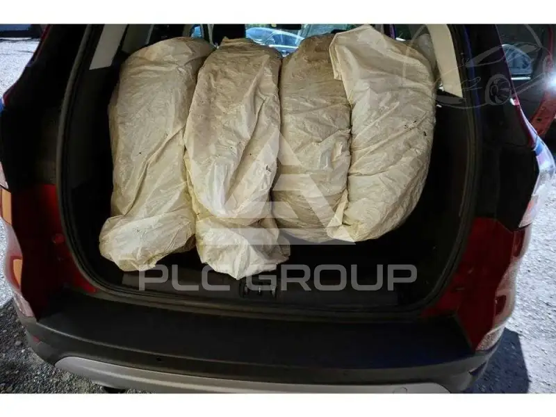 2019 Ford Kuga