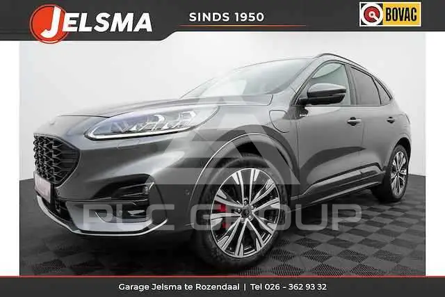 2019 Ford Kuga