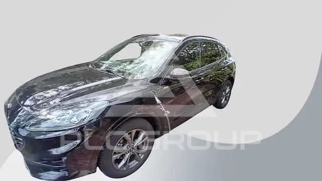 2019 Ford Kuga