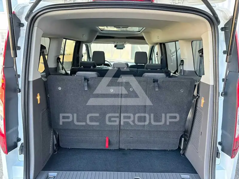 2019 Ford Tourneo