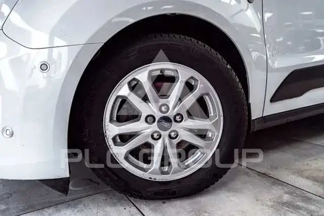 2019 Ford Tourneo