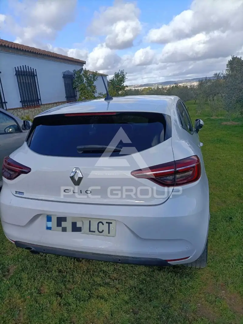 2019 Renault Clio