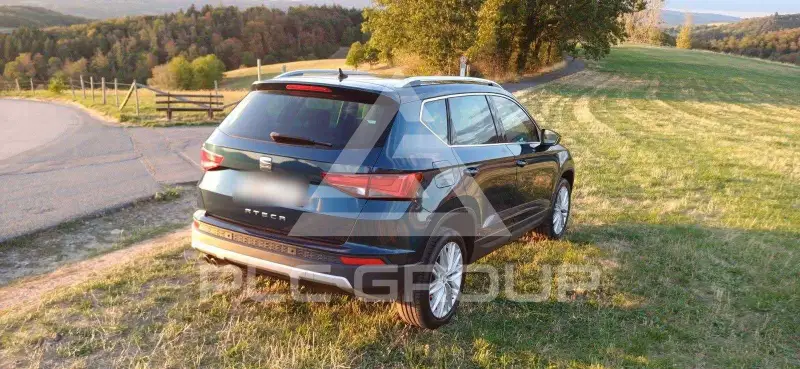 2019 Seat Alteca