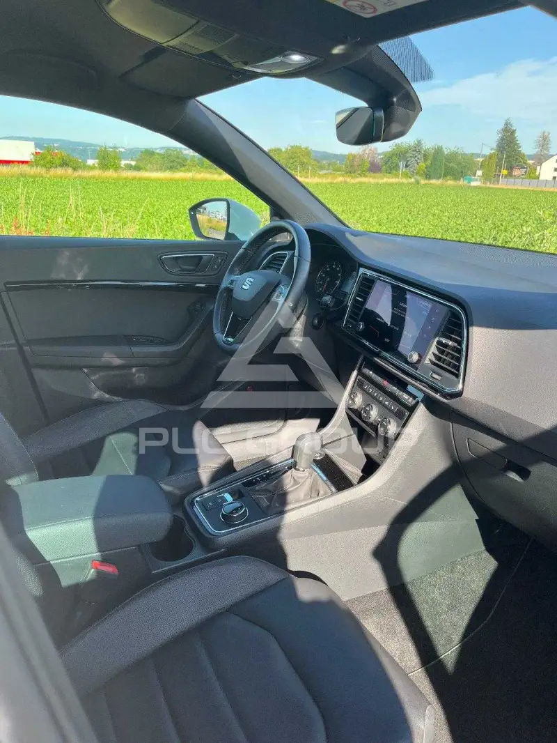 2019 Seat Alteca
