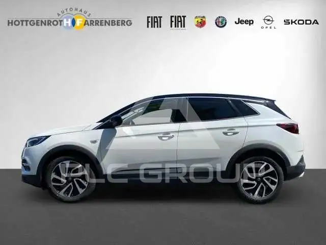 2019 Opel GrandlandX