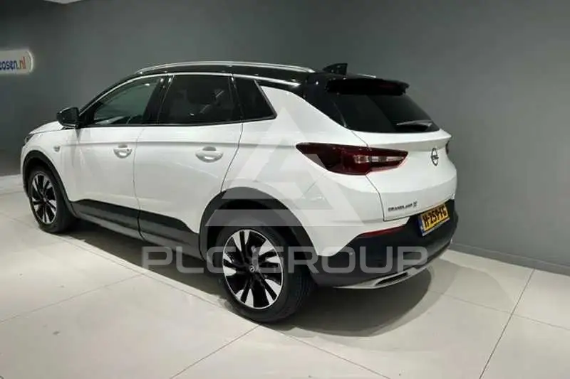 2019 Opel GrandlandX