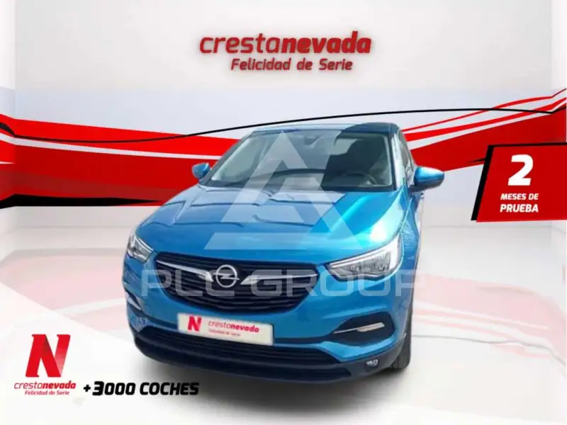 2019 Opel GrandlandX