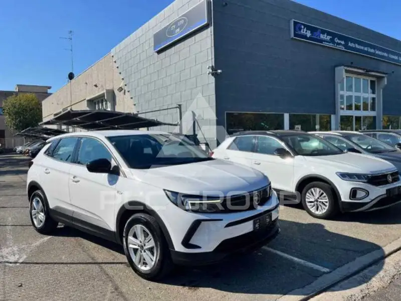 2019 Opel GrandlandX