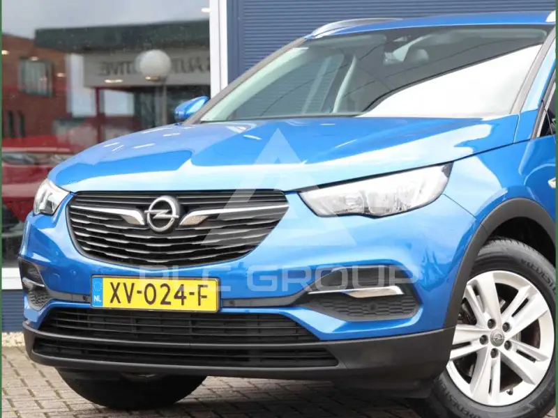 2019 Opel GrandlandX