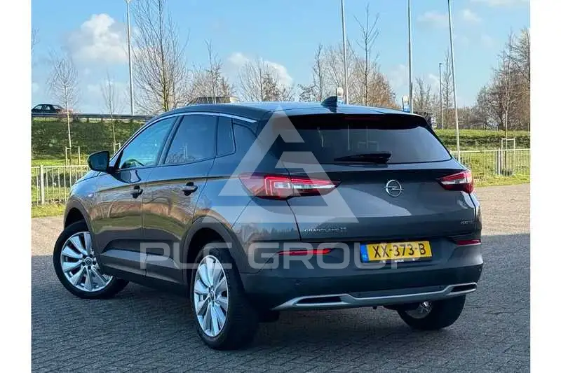 2019 Opel GrandlandX