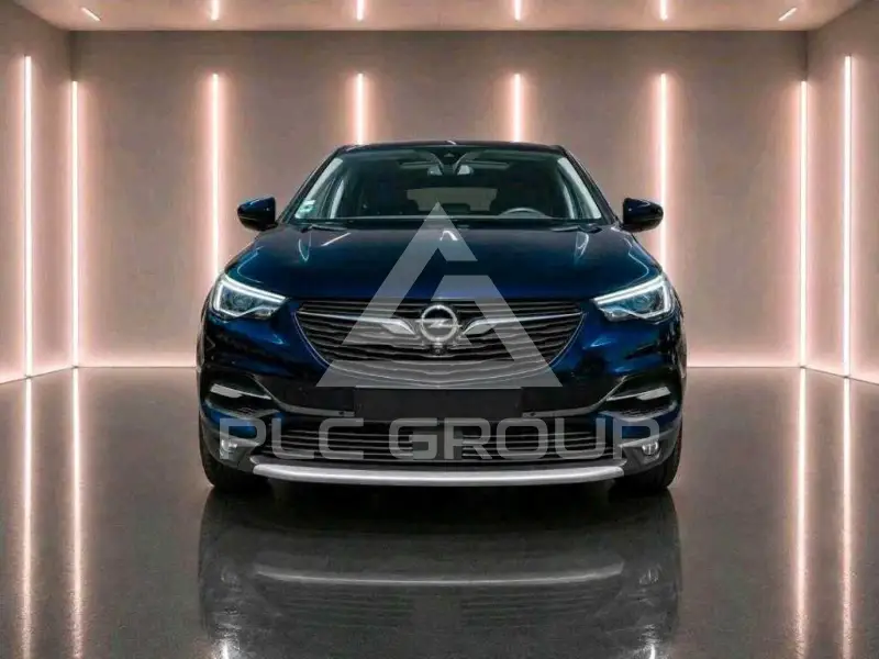 2019 Opel GrandlandX