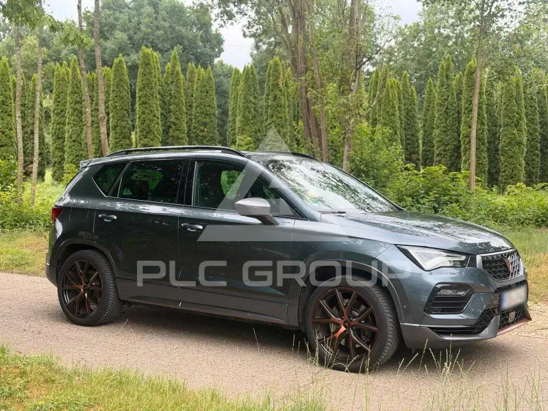 2020 Cupra Other