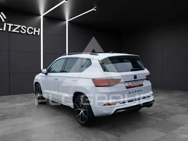 2020 Cupra Other