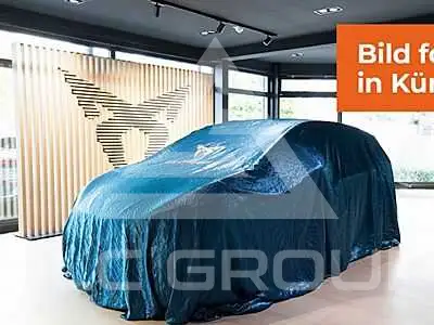 2020 Cupra Other