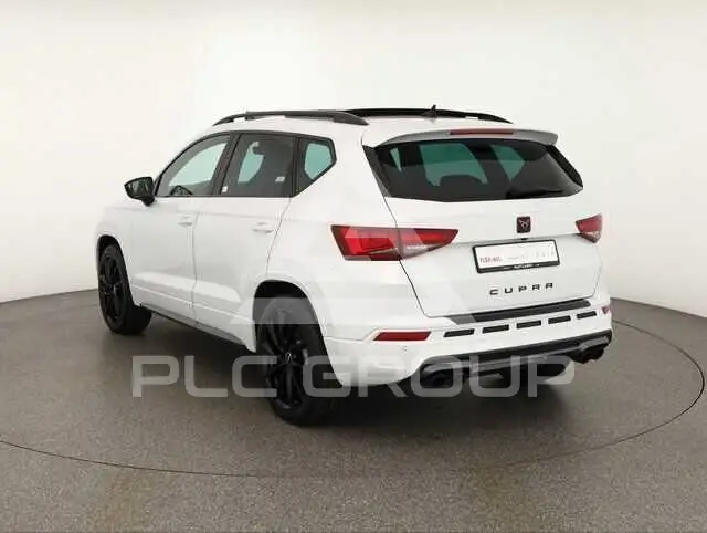2020 Cupra Other