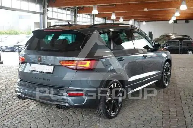 2020 Cupra Other